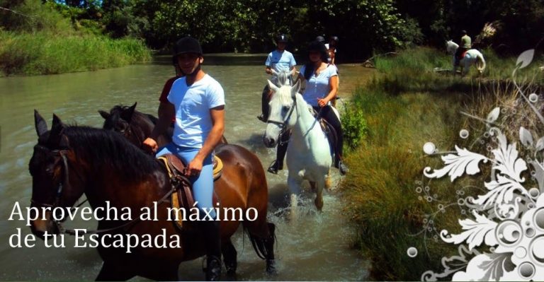 Paseos a caballo cerca de Hotel Las Nubes